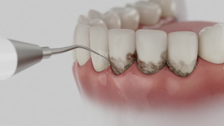 Reliable Dental contractor in Warren, IN by Dentist Open Now